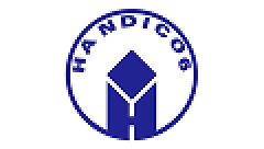 Handico 6
