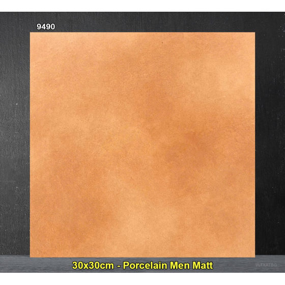 Gạch Trung Quốc 30x30cm 9490