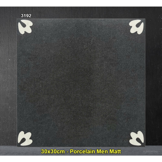 Gạch Trung Quốc 30x30cm 3192