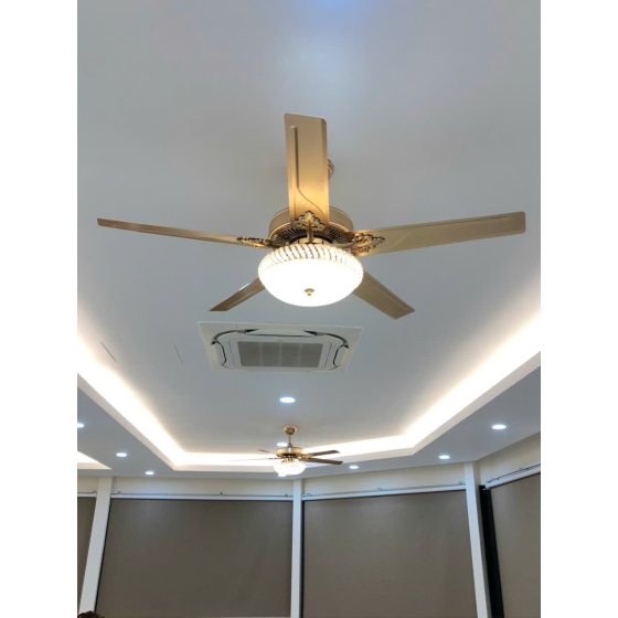 Quạt đèn pha lê 5 cánh sắt QT4801