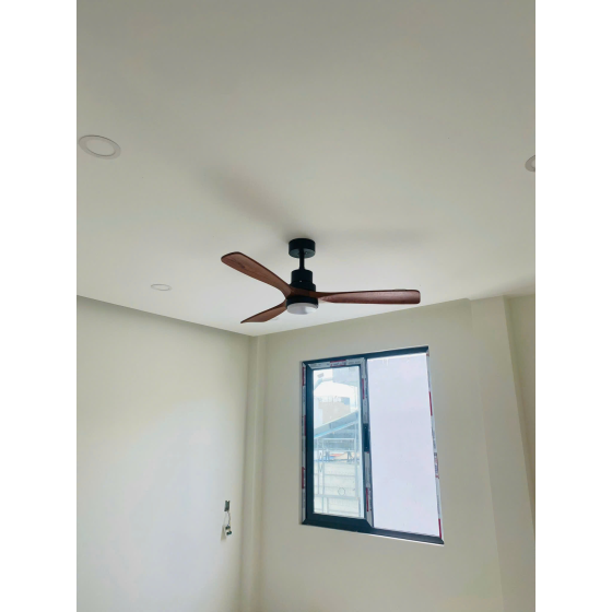 Quạt đèn cánh gỗ QT5247