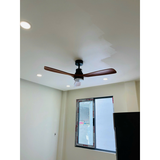 Quạt đèn cánh gỗ QT5247