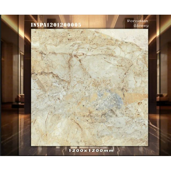 Gạch Ấn Độ 120x120cm INSPA1201200005