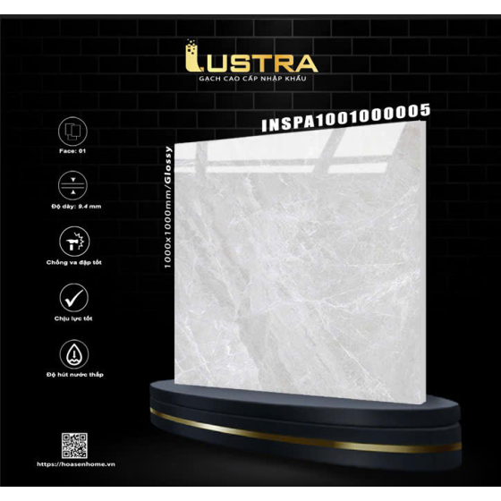 Gạch Ấn Độ 100x100cm INSPA1001000005