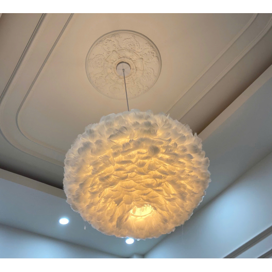 Đèn thả thiết kế lông vũ TTK75