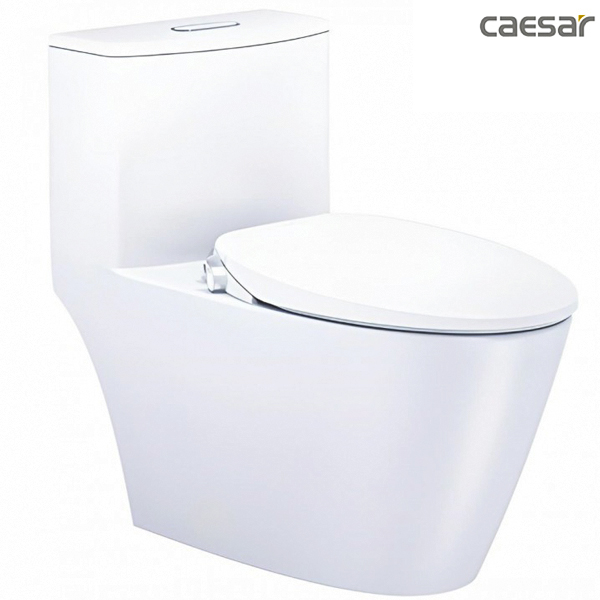 Bàn Cầu Nắp Rửa Cơ CAESAR C1363F/TAF060 1 Khối