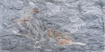 Gạch trang trí Trung Quốc 15x30cm 153015