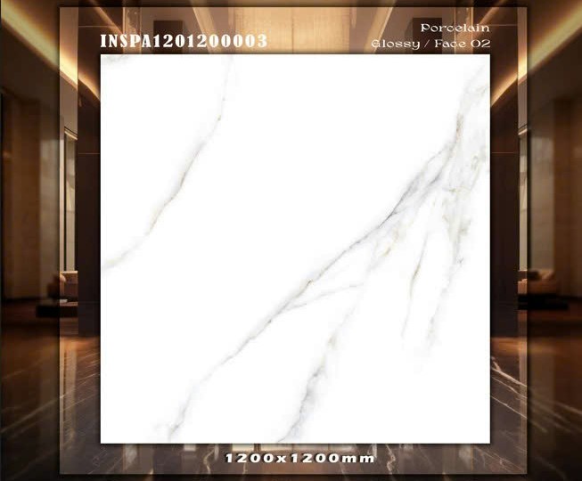 Gạch Ấn Độ 120x120cm INSPA1201200003