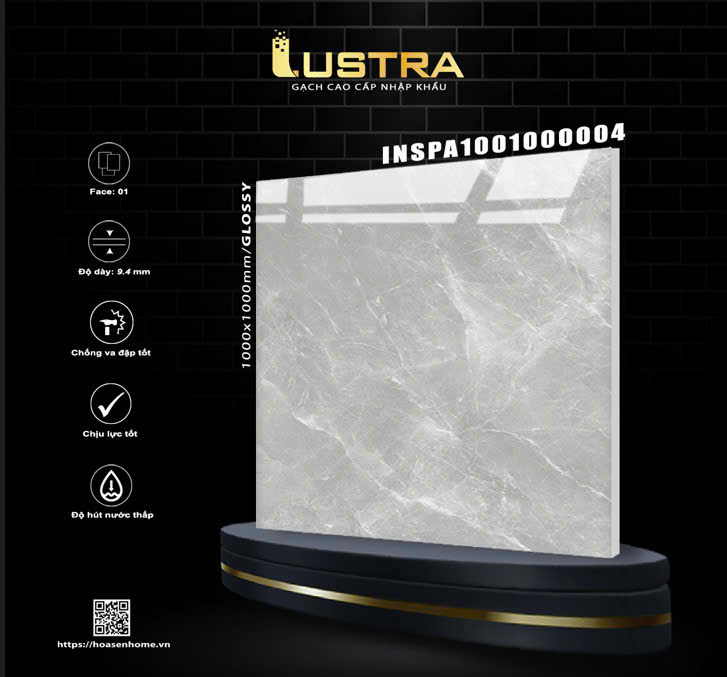 Gạch Ấn Độ 100x100cm INSPA1001000004