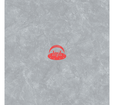 Gạch lát WC 40x40