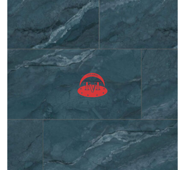 Gạch Đông Tâm 60120LANGBIANG006-FP-H