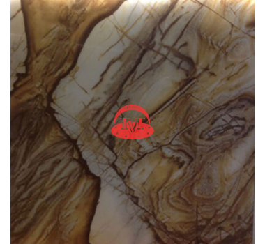 Gạch Trung Quốc 80x80cm 8191