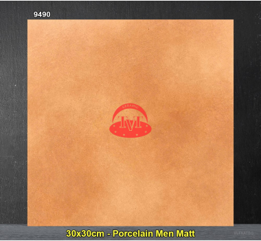 Gạch Trung Quốc 30x30cm 9490