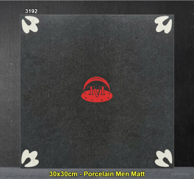 Gạch Trung Quốc 30x30cm 3192