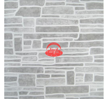 Gạch Taicera 40x40cm G48209