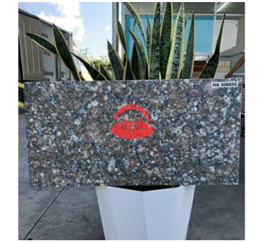 Gạch lát sân 30x60cm HA306055