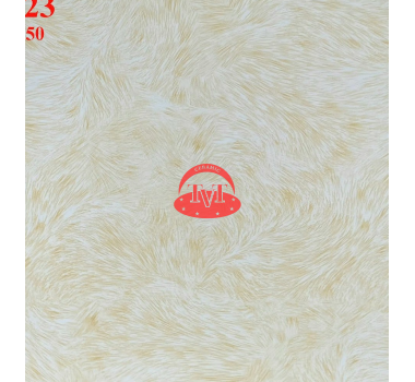 Gạch lát nền 50x50