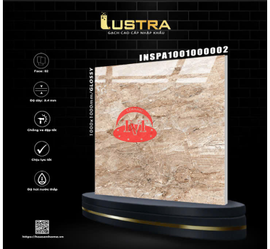 Gạch Ấn Độ 100x100cm INSPA1001000002